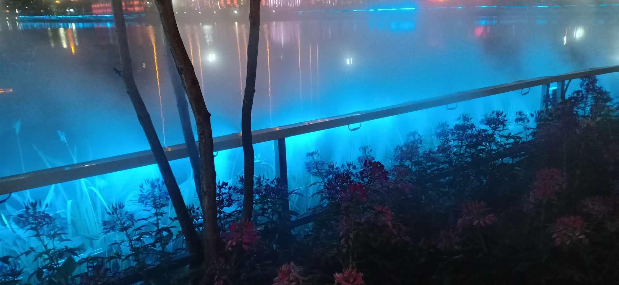 老师们对于网课这种形式，你们怎么看？